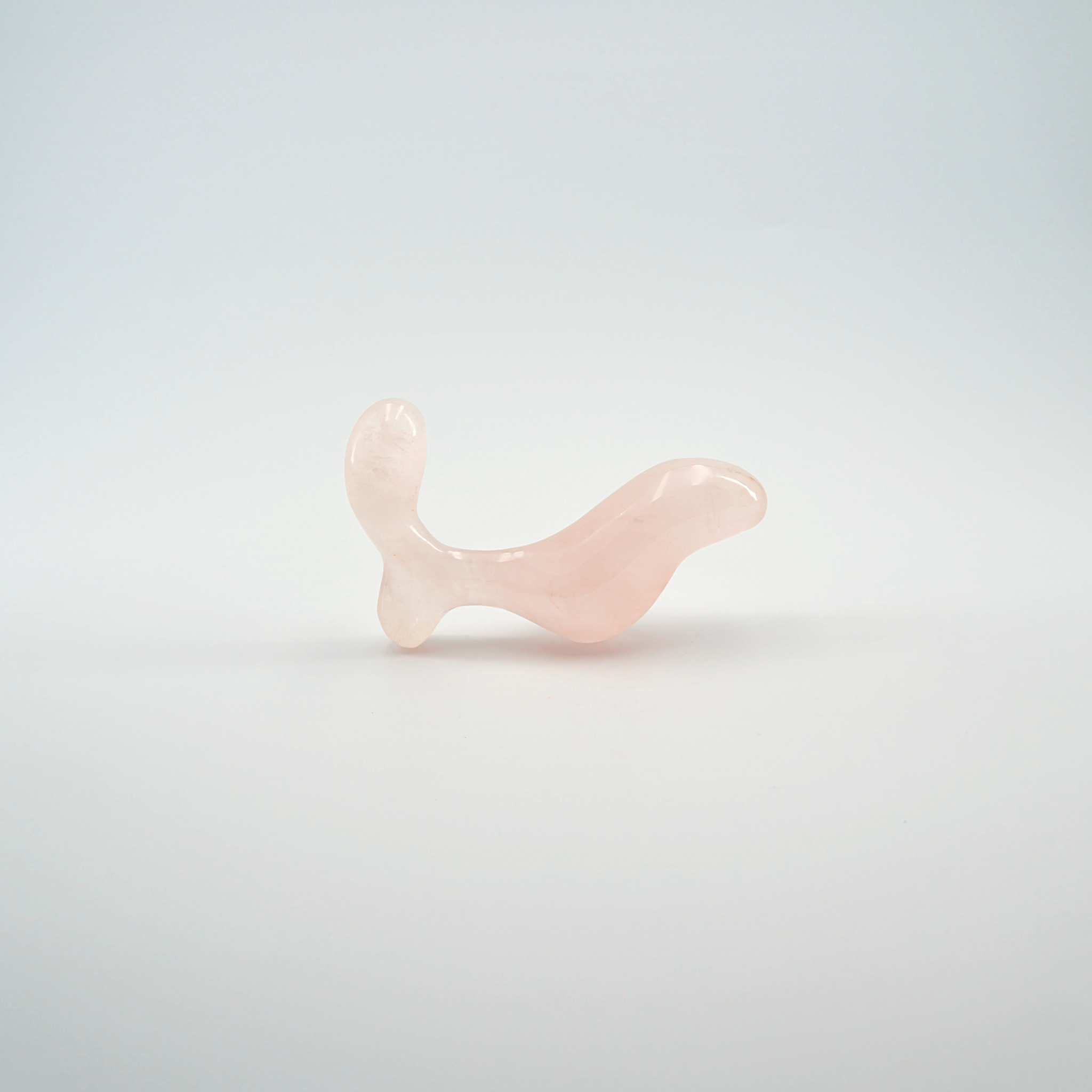 Crave-butt-plug