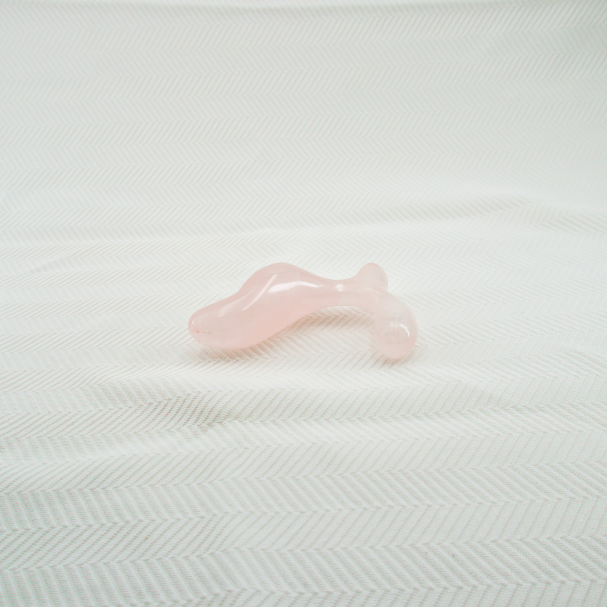 Crave-butt-plug
