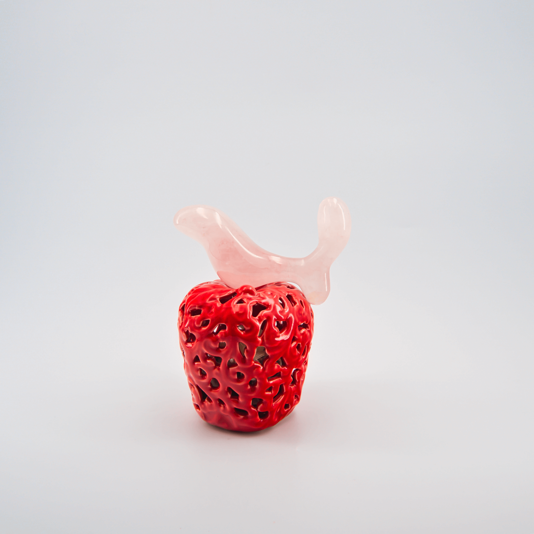Crave-Butt-Plug